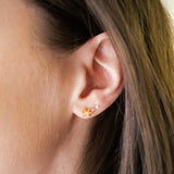 Zodiac Sign Hypoallergenic Earrings