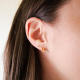 Capricorn Zodiac Sign Hypoallergenic Earrings