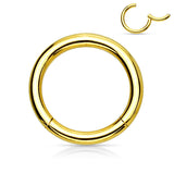 Single Hinged Segment Hypoallergenic Ring