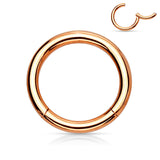 Single Hinged Segment Hypoallergenic Ring