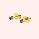 Tanzanite Bezel Set Hypoallergenic Stud Earrings - December