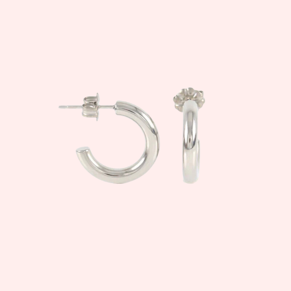 Titanium 2025 hoop earrings
