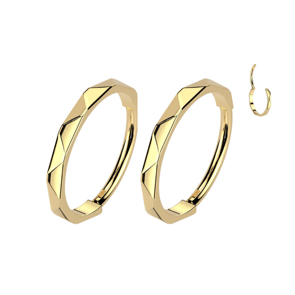 Titanium Faceted Side Hoop Hypoallergenic Earrings