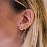 Scorpio Zodiac Sign Hypoallergenic Earrings