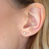 Delicate Hydrangea Hypoallergenic Earrings
