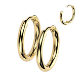 Titanium Chunky Hoop Hypoallergenic Earrings