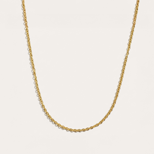 delicate-necklace-gold_grande.