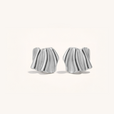 Pair of silver earrings on a white background.