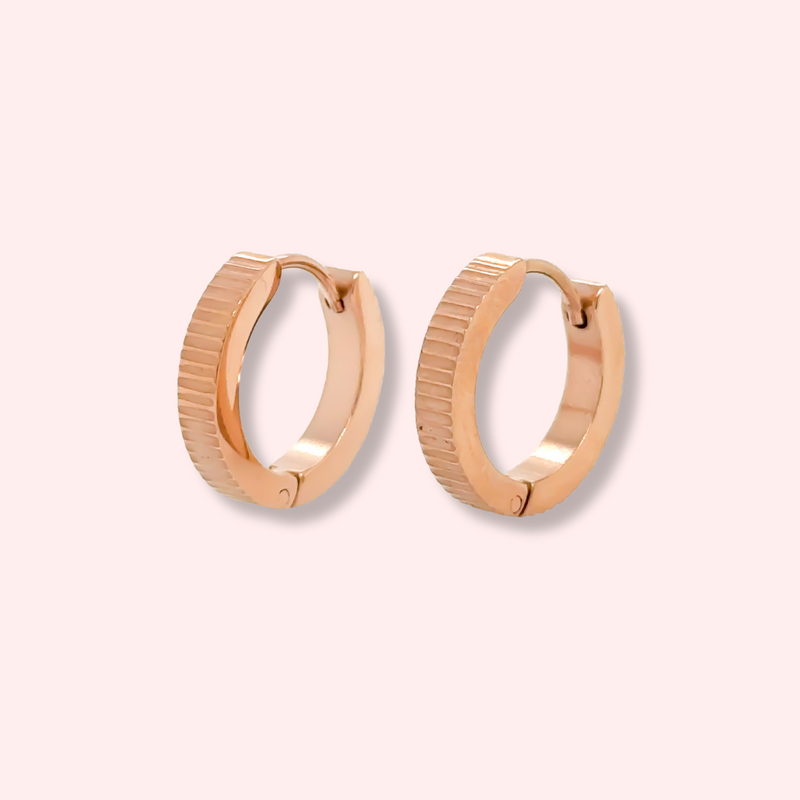 Huggie hoop 2025 earrings canada