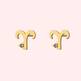 Zodiac Sign Hypoallergenic Earrings